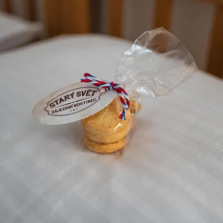 بيت ضيافة Stary Svet Votice