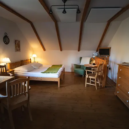 Stary Svet Guest house