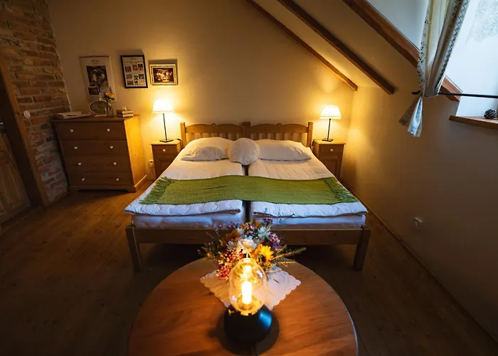 Stary Svet 4* Votice