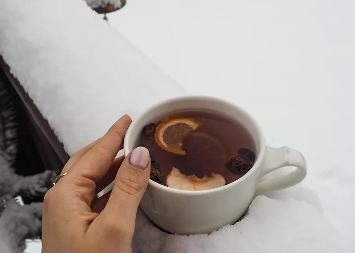 Stary Svet 招待所 4*